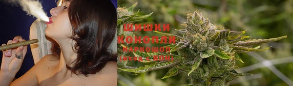 PSILOCYBIN Няндома
