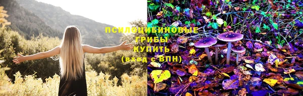 PSILOCYBIN Няндома