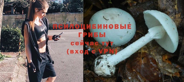 круглые Нягань