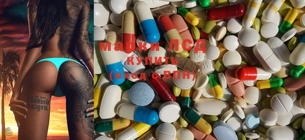 PSILOCYBIN Няндома