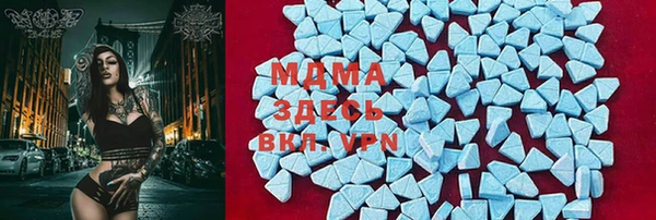 PSILOCYBIN Няндома
